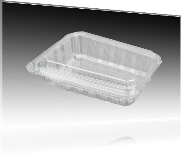 thermoformed plastic dish for food industry